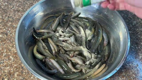 家常油炸小鱼的做法(家常油炸小鱼的做法视频),第1张 家常油炸小鱼的做法(家常油炸小鱼的做法视频),家常油炸小鱼的做法(家常油炸小鱼的做法视频),第1张