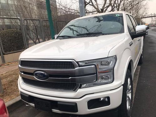 福特f150svt（福特F150改装）,福特f150svt（福特F150改装）,第1张