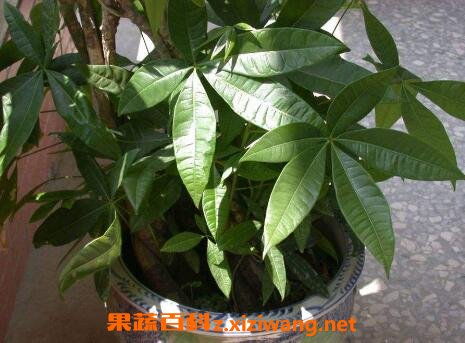 德阳装修论坛(德阳装修吧),第2张 德阳装修论坛(德阳装修吧),德阳装修论坛(德阳装修吧),第2张