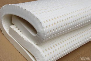 乳胶床垫的优点(乳胶床垫的优点和缺点),第1张 乳胶床垫的优点(乳胶床垫的优点和缺点),乳胶床垫的优点(乳胶床垫的优点和缺点),第1张