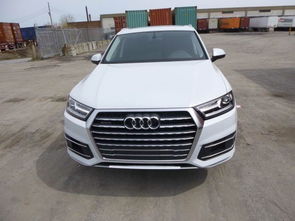 家庭版孜然羊排的做法(孜然羊排怎样做),第2张 家庭版孜然羊排的做法(孜然羊排怎样做),家庭版孜然羊排的做法(孜然羊排怎样做),第2张