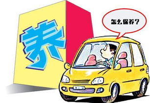 新车保养知识(新车保养知识大全),第1张 新车保养知识(新车保养知识大全),新车保养知识(新车保养知识大全),第1张