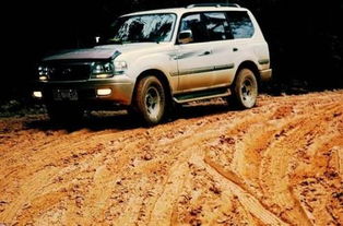 富奇6500(富奇6510A2),第2张 富奇6500(富奇6510A2),富奇6500(富奇6510A2),第2张