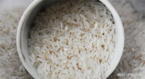 糙米(糙米和大米的区别),第2张 糙米(糙米和大米的区别),糙米(糙米和大米的区别),第2张