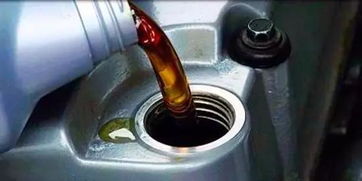 罗马利奥瓷砖(罗马利奥瓷砖官网查询),第2张 罗马利奥瓷砖(罗马利奥瓷砖官网查询),罗马利奥瓷砖(罗马利奥瓷砖官网查询),第2张