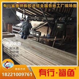 固化剂的作用(拼板胶固化剂的作用),第3张 固化剂的作用(拼板胶固化剂的作用),固化剂的作用(拼板胶固化剂的作用),第3张