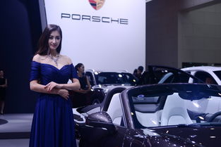 第十五届成都国际车展(第十七届成都国际车展),第3张 第十五届成都国际车展(第十七届成都国际车展),第十五届成都国际车展(第十七届成都国际车展),第3张