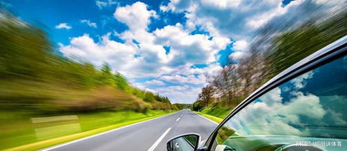 玫瑰糠疹图片(玫瑰糠疹图片 初期 后期 晚期),第3张 玫瑰糠疹图片(玫瑰糠疹图片 初期 后期 晚期),玫瑰糠疹图片(玫瑰糠疹图片 初期 后期 晚期),第3张