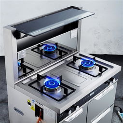 巧手燃气灶维修(巧手燃气灶维修视频),第2张 巧手燃气灶维修(巧手燃气灶维修视频),巧手燃气灶维修(巧手燃气灶维修视频),第2张