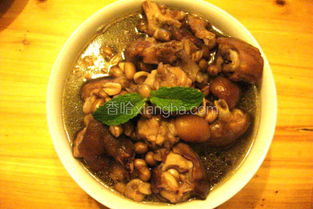 猪蹄炖花生怎么做好吃(猪蹄炖花生的做法窍门),第3张 猪蹄炖花生怎么做好吃(猪蹄炖花生的做法窍门),猪蹄炖花生怎么做好吃(猪蹄炖花生的做法窍门),第3张