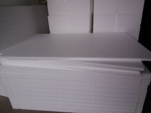 上海办公室装修:浅谈滴水观音养护方法,解决黄叶问题,第3张 上海办公室装修:浅谈滴水观音养护方法,解决黄叶问题,上海办公室装修:浅谈滴水观音养护方法,解决黄叶问题,第3张