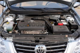 辣木（辣木籽的功效与副作用）,辣木（辣木籽的功效与副作用）,第3张