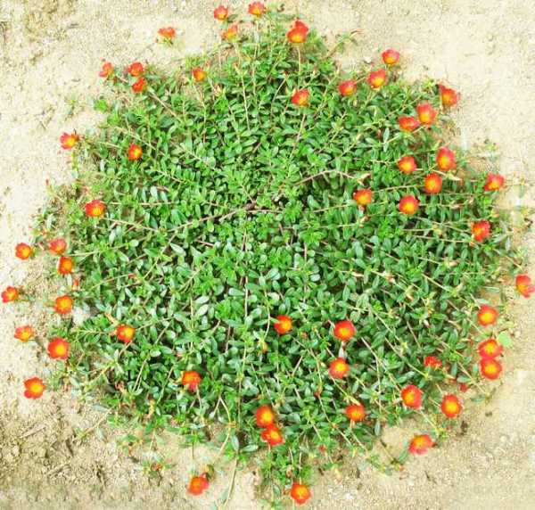 暖色调背景(暖色调背景图片高清),第3张 暖色调背景(暖色调背景图片高清),暖色调背景(暖色调背景图片高清),第3张