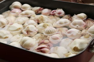 最正确糖蒜腌制方法(最正宗的糖蒜腌制方法),第2张 最正确糖蒜腌制方法(最正宗的糖蒜腌制方法),最正确糖蒜腌制方法(最正宗的糖蒜腌制方法),第2张