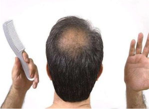 上海办公楼装修:【毒性解析】“仙客来”到底有没有毒?,第3张 上海办公楼装修:【毒性解析】“仙客来”到底有没有毒?,上海办公楼装修:【毒性解析】“仙客来”到底有没有毒?,第3张