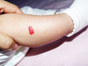 福特猛禽报价(福特猛禽报价多少),第2张 福特猛禽报价(福特猛禽报价多少),福特猛禽报价(福特猛禽报价多少),第2张