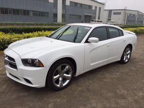 道奇战马(道奇战马多少钱),第2张 道奇战马(道奇战马多少钱),道奇战马(道奇战马多少钱),第2张