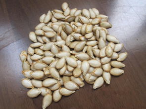 上海公装公司:探究安华卫浴价格中的成本与品质因素,第3张 上海公装公司:探究安华卫浴价格中的成本与品质因素,上海公装公司:探究安华卫浴价格中的成本与品质因素,第3张