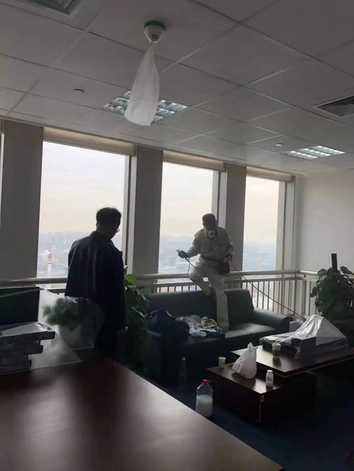 室内空气治理方法(室内空气治理措施),第2张 室内空气治理方法(室内空气治理措施),室内空气治理方法(室内空气治理措施),第2张