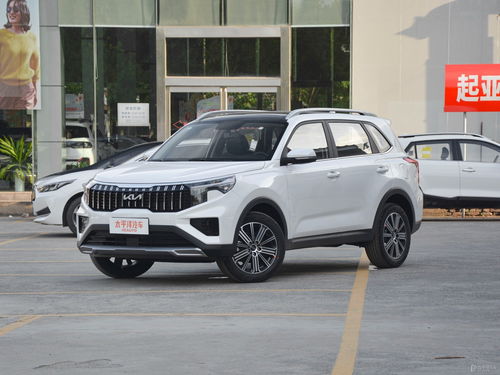 伊派瓷砖(伊派瓷砖是国际品牌吗),第3张 伊派瓷砖(伊派瓷砖是国际品牌吗),伊派瓷砖(伊派瓷砖是国际品牌吗),第3张