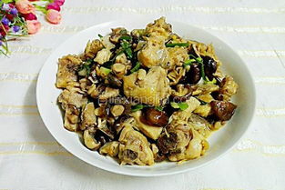 文竹叶子发黄怎么办(文竹叶子发黄怎么办掉落),第3张 文竹叶子发黄怎么办(文竹叶子发黄怎么办掉落),文竹叶子发黄怎么办(文竹叶子发黄怎么办掉落),第3张