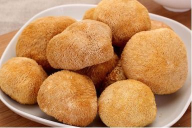 猴头菌片的功效(猴头菌片的功效与作用图片),第3张 猴头菌片的功效(猴头菌片的功效与作用图片),猴头菌片的功效(猴头菌片的功效与作用图片),第3张