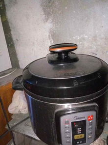 电压力锅做米饭(电压力锅做米饭的方法),第1张 电压力锅做米饭(电压力锅做米饭的方法),电压力锅做米饭(电压力锅做米饭的方法),第1张