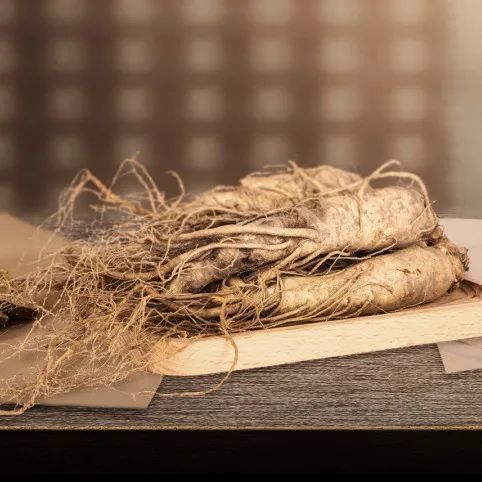 哪些人不宜吃党参(那些人不能吃党参),第2张 哪些人不宜吃党参(那些人不能吃党参),哪些人不宜吃党参(那些人不能吃党参),第2张