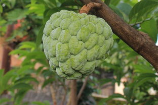 排量(排量大好还是小好),第1张 排量(排量大好还是小好),排量(排量大好还是小好),第1张