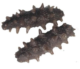 办公装修公司:上海申花遇上热水器故障,维修一定要找对人!,第2张 办公装修公司:上海申花遇上热水器故障,维修一定要找对人!,办公装修公司:上海申花遇上热水器故障,维修一定要找对人!,第2张