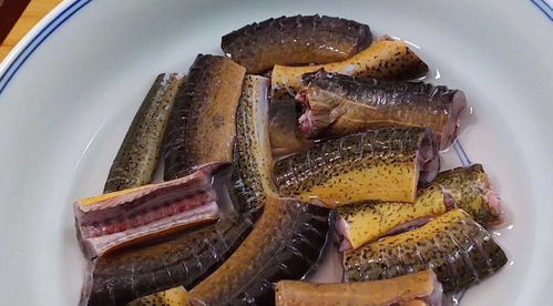 硅藻泥墙面脏了怎么办(硅藻泥包工包料多少钱一平方),第3张 硅藻泥墙面脏了怎么办(硅藻泥包工包料多少钱一平方),硅藻泥墙面脏了怎么办(硅藻泥包工包料多少钱一平方),第3张