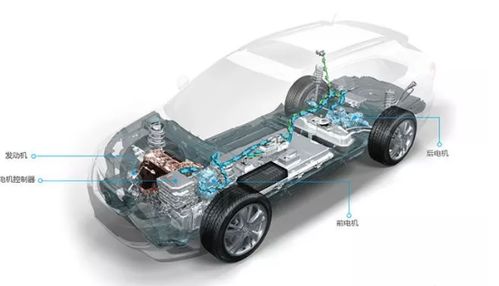 棕榈床垫(棕榈床垫和乳胶床垫哪个好),第2张 棕榈床垫(棕榈床垫和乳胶床垫哪个好),棕榈床垫(棕榈床垫和乳胶床垫哪个好),第2张