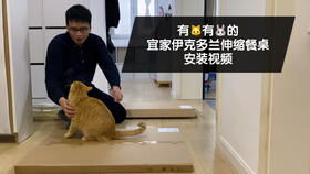 折叠式餐桌(折叠餐桌视频),第3张 折叠式餐桌(折叠餐桌视频),折叠式餐桌(折叠餐桌视频),第3张