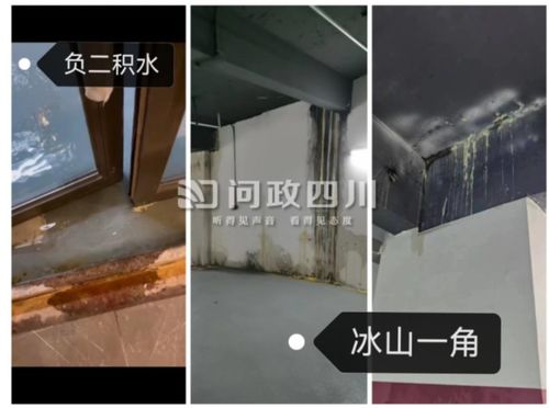 qq外观图片(车外观),第2张 qq外观图片(车外观),qq外观图片(车外观),第2张