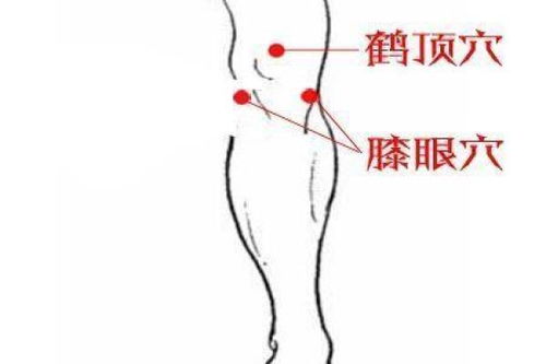 长城h7(长城h7启停电瓶型号),第2张 长城h7(长城h7启停电瓶型号),长城h7(长城h7启停电瓶型号),第2张