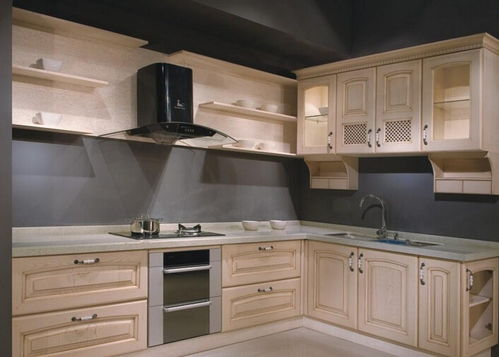 邦太橱柜(邦太橱柜扬子橱柜),第3张 邦太橱柜(邦太橱柜扬子橱柜),邦太橱柜(邦太橱柜扬子橱柜),第3张