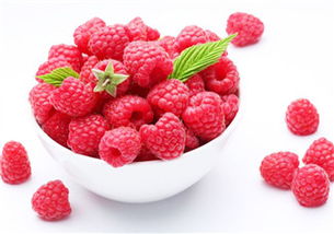 树梅(树梅水果功效与作用),第1张 树梅(树梅水果功效与作用),树梅(树梅水果功效与作用),第1张