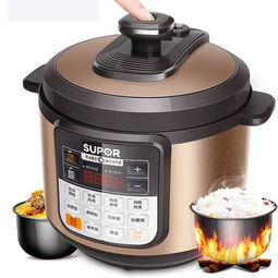 电压力锅做米饭(电压力锅做米饭的方法),第3张 电压力锅做米饭(电压力锅做米饭的方法),电压力锅做米饭(电压力锅做米饭的方法),第3张