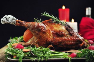 烤火鸡英文(烤火鸡英文单词),第2张 烤火鸡英文(烤火鸡英文单词),烤火鸡英文(烤火鸡英文单词),第2张