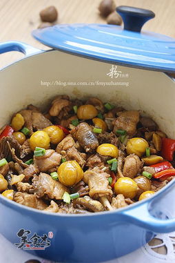 板栗炖鸡的做法步骤(板栗炖鸡的做法步骤图),第3张 板栗炖鸡的做法步骤(板栗炖鸡的做法步骤图),板栗炖鸡的做法步骤(板栗炖鸡的做法步骤图),第3张