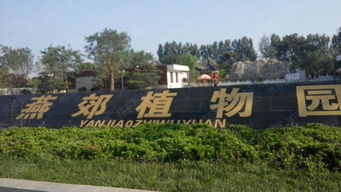 绿化率多少合适(绿化率一般为多少合适),第2张 绿化率多少合适(绿化率一般为多少合适),绿化率多少合适(绿化率一般为多少合适),第2张