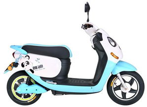 雅迪熊猫电动车(雅迪熊猫电动车电池多少伏),第3张 雅迪熊猫电动车(雅迪熊猫电动车电池多少伏),雅迪熊猫电动车(雅迪熊猫电动车电池多少伏),第3张