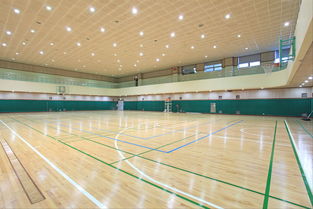 橡木地板图片(篮球馆地板价格一般多少钱),第3张 橡木地板图片(篮球馆地板价格一般多少钱),橡木地板图片(篮球馆地板价格一般多少钱),第3张