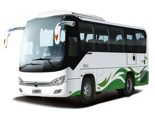 xinji(心肌炎),第2张 xinji(心肌炎),xinji(心肌炎),第2张