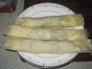 蛋卷的做法视频(制作蛋卷的做法视频),第1张 蛋卷的做法视频(制作蛋卷的做法视频),蛋卷的做法视频(制作蛋卷的做法视频),第1张