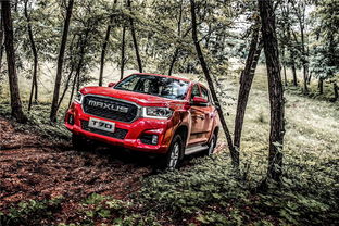 上汽MAXUSEV30(上汽MAXUS皮卡车),第3张 上汽MAXUSEV30(上汽MAXUS皮卡车),上汽MAXUSEV30(上汽MAXUS皮卡车),第3张