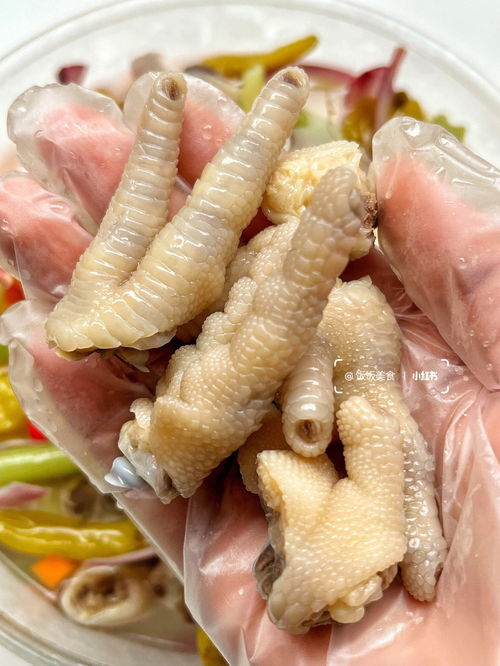 自制泡鸡爪的方法步骤(自制泡鸡爪的方法步骤窍门),第2张 自制泡鸡爪的方法步骤(自制泡鸡爪的方法步骤窍门),自制泡鸡爪的方法步骤(自制泡鸡爪的方法步骤窍门),第2张