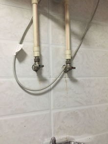 运动型汽车（运动型汽车有哪些）,运动型汽车（运动型汽车有哪些）,第2张