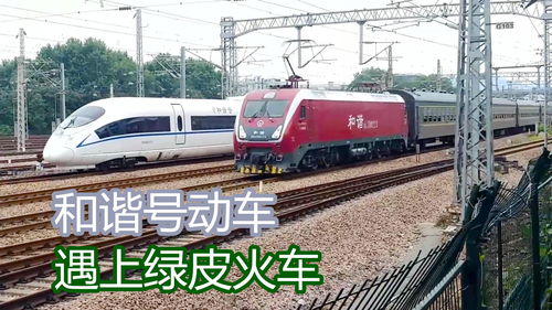 办公设计公司:天津的仿真花景点盘点,哪些适合春节旅行?,第3张 办公设计公司:天津的仿真花景点盘点,哪些适合春节旅行?,办公设计公司:天津的仿真花景点盘点,哪些适合春节旅行?,第3张