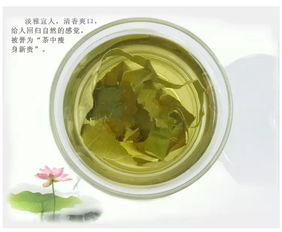 自制荷叶茶(自制荷叶茶的制作方法),第3张 自制荷叶茶(自制荷叶茶的制作方法),自制荷叶茶(自制荷叶茶的制作方法),第3张